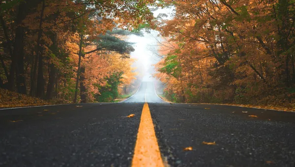 Hwadam Forest Autumn Foliage Reservation (2026): Ticketing Protocol, Monorail Strategy & Gonjiam Shuttle Guide